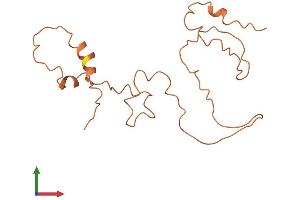 AlphaFold protein structure predicition of Human Recombinant KRTAP9-2 Protein, UniprotID Q9BYQ4 (KRTAP9-2 Protein (AA 1-174) (His tag))