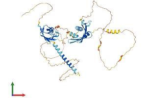 AlphaFold protein structure predicition of Mouse Recombinant Midn Protein, UniprotID Q3TPJ7 (MIDN Protein (AA 1-465) (His tag))