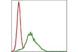 Flow cytometric analysis of HepG2 cells using RSK2 mouse mAb (green) and negative control (red). (RPS6KA3 antibody)