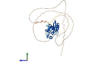 AlphaFold protein structure predicition of Human Recombinant KMT5A Protein, UniprotID Q9NQR1 (SETD8 Protein (AA 1-393) (His tag))