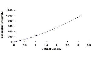 Typical standard curve (CXCL13 ELISA Kit)