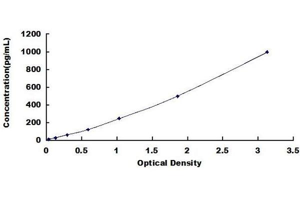 CXCL13 ELISA Kit