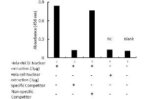 Transcription factor assay of p53 from nuclear extracts of HeLa cells or HeLa cells treated with NiCl2 with the specific competitor or non-specific competitor. (p53 ELISA Kit)