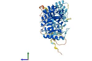 AlphaFold protein structure predicition of Human Recombinant PRAMEF13 Protein, UniprotID Q5VWM6 (PRAMEF13 Protein (AA 1-474) (His tag))