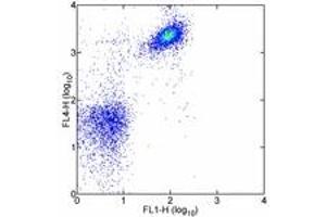 Image no. 1 for anti-CD19 Molecule (CD19) antibody (FITC) (ABIN474230) (CD19 antibody  (FITC))