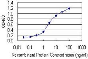 Detection limit for recombinant GST tagged PCDH11X is 0. (PCDH11X antibody  (AA 1228-1336))