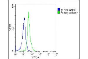 Overlay histogram showing Jurkat cells stained with (ABIN6242745 and ABIN6578761)(green line). (RPS2 antibody  (AA 45-79))