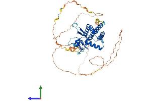 AlphaFold protein structure predicition of Human Recombinant TFAP2C Protein, UniprotID Q92754