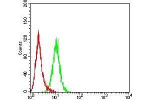 Flow cytometric analysis of Hela cells using LILRB1 mouse mAb (green) and negative control (red). (LILRB1 antibody  (AA 338-461))