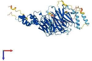 AlphaFold protein structure predicition of Human Recombinant FBXW5 Protein, UniprotID Q969U6 (FBXW5 Protein (AA 1-566) (His tag))