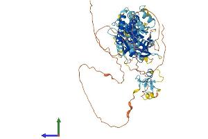 AlphaFold protein structure predicition of Mouse Recombinant Rnf112 Protein, UniprotID Q96DY5 (RNF112 Protein (AA 1-654) (His tag))