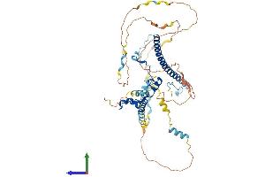 Protein Structure (PS) image for WAS Protein Family, Member 3 (WASF3) (AA 1-502) protein (His tag) (ABIN7545110)