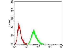 Flow cytometric analysis of Hela cells using RF1 mouse mAb (green) and negative control (red). (MTRF1 antibody  (AA 288-437))