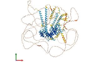Protein Structure (PS) image for DNA Repair Protein Complementing XP-G Cells (ERCC5) (AA 1-1170) protein (His tag) (ABIN7563184)