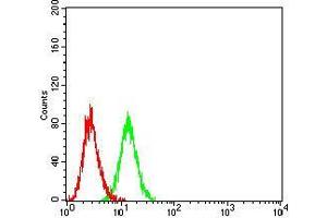 Flow cytometric analysis of Ramos cells using CD100 mouse mAb (green) and negative control (red). (SEMA4D/CD100 antibody  (AA 590-734))