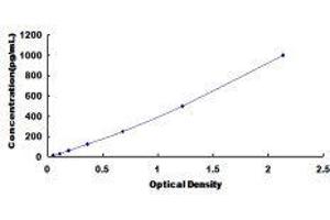 ELISA image for Chemokine (C-X-C Motif) Ligand 2 (CXCL2) ELISA Kit (ABIN432231)