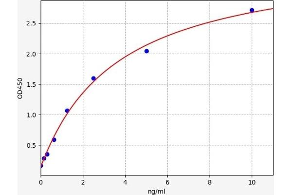 CPB1 ELISA Kit