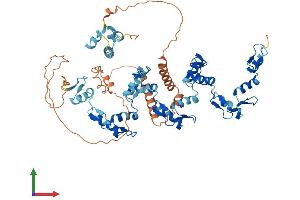 AlphaFold protein structure predicition of Human Recombinant ZNF300 Protein, UniprotID Q96RE9