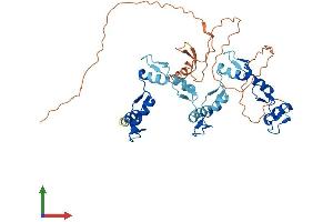 AlphaFold protein structure predicition of Human Recombinant ZNF134 Protein, UniprotID P52741 (ZNF134 Protein (AA 1-427) (His tag))