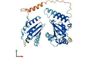 AlphaFold protein structure predicition of Human Recombinant UBE2Q2 Protein, UniprotID Q8WVN8