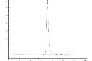 Size-exclusion chromatography-High Pressure Liquid Chromatography (SEC-HPLC) image for Interleukin 1 Receptor Accessory Protein (IL1RAP) (AA 21-359) protein (His-Avi Tag) (ABIN7274904)