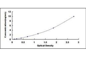 Typical standard curve (SPTLC3 ELISA Kit)