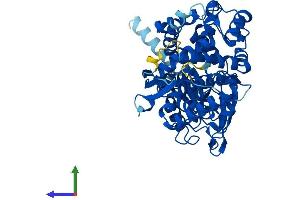AlphaFold protein structure predicition of Mouse Recombinant Cyp7a1 Protein, UniprotID Q64505 (CYP7A1 Protein (AA 1-503) (His tag))