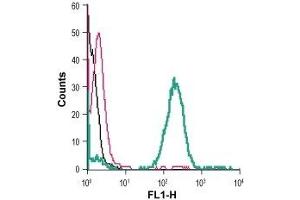 Cell surface detection of Zinc transporter ZIP8 in live intact human THP-1 acute monocytic leukemia cells: (black line) Cells. (SLC39A8 antibody  (Extracellular))