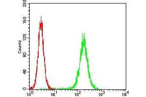 Flow cytometric analysis of Hela cells using PKN1 mouse mAb (green) and negative control (red). (PKN1 antibody  (AA 442-620))