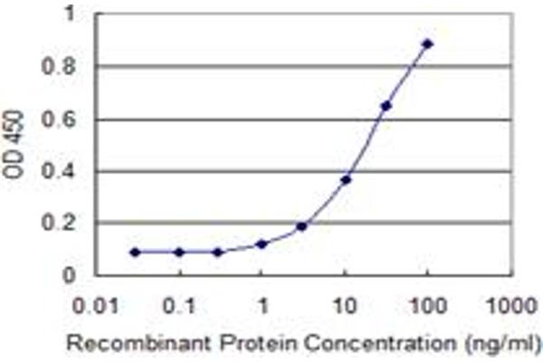 PANK4 antibody  (AA 673-773)