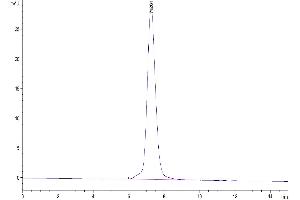 Size-exclusion chromatography-High Pressure Liquid Chromatography (SEC-HPLC) image for Interleukin 1 Receptor-Like 2 (IL1RL2) (AA 20-335) protein (Fc Tag) (ABIN7274893)
