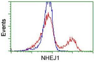 Flow Cytometry (FACS) image for anti-Nonhomologous End-Joining Factor 1 (NHEJ1) antibody (ABIN1499732)