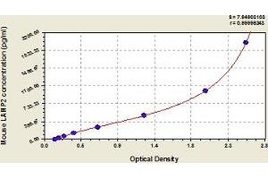 Typical Standard Curve (LAMP2 ELISA Kit)