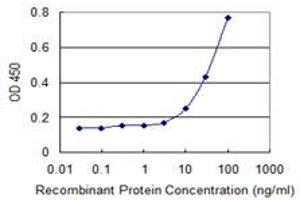 Detection limit for recombinant GST tagged HIPK1 is 3 ng/ml as a capture antibody. (HIPK1 antibody  (AA 330-430))