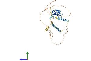 Protein Structure (PS) image for Splicing Regulatory Glutamine/lysine-Rich Protein 1 (SREK1) (AA 1-494) protein (His tag) (ABIN7559059)