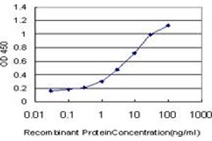 Detection limit for recombinant GST tagged KCNQ4 is approximately 1ng/ml as a capture antibody. (KCNQ4 antibody  (AA 596-695))