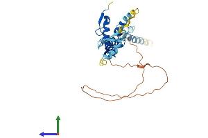 AlphaFold protein structure predicition of Human Recombinant XAF1 Protein, UniprotID Q6GPH4 (XAF1 Protein (AA 1-301) (His tag))