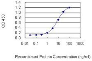 Detection limit for recombinant GST tagged RPS6KA5 is 0. (MSK1 antibody  (AA 372-470))