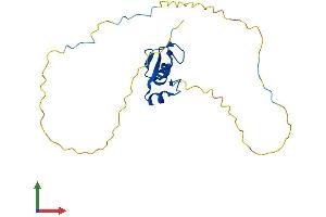 AlphaFold protein structure predicition of Mouse Recombinant Rnf4 Protein, UniprotID Q9QZS2 (RNF4 Protein (AA 1-194) (His tag))