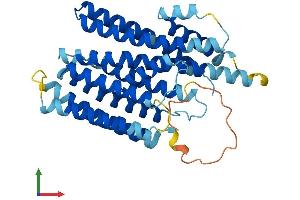 AlphaFold protein structure predicition of Human Recombinant XKR9 Protein, UniprotID Q5GH70 (XKR9 Protein (AA 1-373) (His tag))