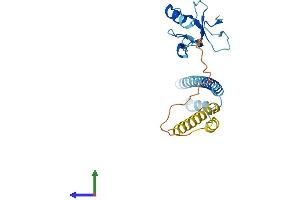 Protein Structure (PS) image for THAP Domain Containing, Apoptosis Associated Protein 2 (THAP2) (AA 1-228) protein (His tag) (ABIN7544343)