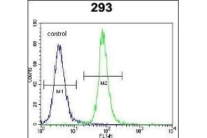 SOX2 Antibody f flow cytometric analysis of 293 cells (right histogram) compared to a negative control cell (left histogram). (SOX2 antibody)