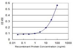 Detection limit for recombinant GST tagged SV2C is 1 ng/ml as a capture antibody. (SV2C antibody  (AA 2-101))