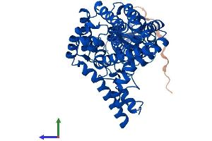 AlphaFold protein structure predicition of Human Recombinant FADS3 Protein, UniprotID Q9Y5Q0 (FADS3 Protein (AA 1-445) (His tag))