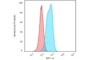 Flow Cytometric Analysis of RAW cells using Cytokeratin 6 Mouse Monoclonal Antibody (SPM269) followed by Goat anti-Mouse IgG-CF488 (Blue); Isotype Control (Red). (KRT6A/KRT6B/KRT6C (C-Term) antibody)