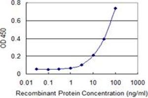 Detection limit for recombinant GST tagged ZSCAN12 is 1 ng/ml as a capture antibody. (ZSCAN12 antibody  (AA 1-604))