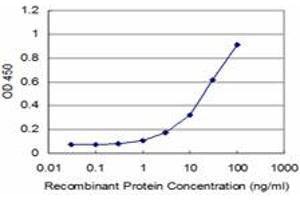 Detection limit for recombinant GST tagged RAB43 is approximately 1ng/ml as a capture antibody. (RAB43 antibody  (AA 113-210))