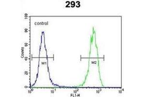 Flow cytometric analysis of 293 cells using PTK9L (arrow) using PTK9L Antibody (N-term) Cat. (TWF2 antibody  (N-Term))