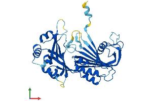 AlphaFold protein structure predicition of Mouse Recombinant Rpp40 Protein, UniprotID Q8R1F9 (RPP40 Protein (AA 1-363) (His tag))