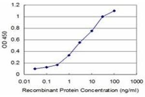 Detection limit for recombinant GST tagged RCV1 is approximately 0.